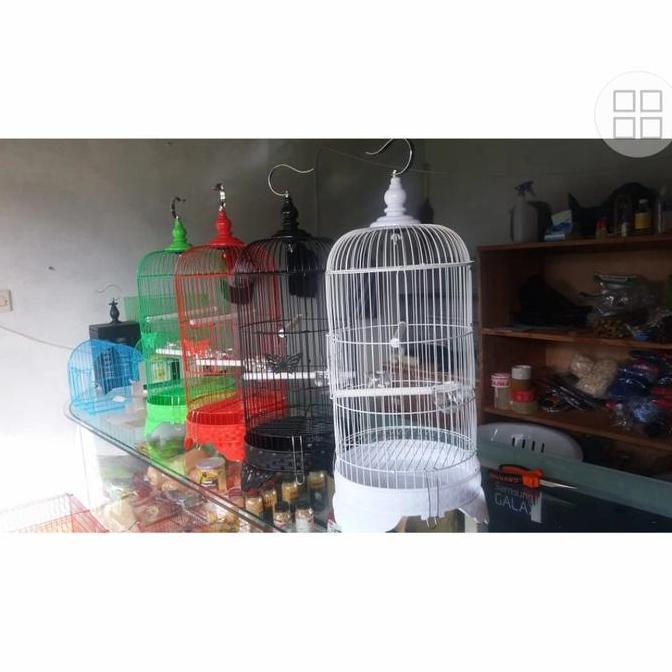 sangkar burung bulat besi (import)