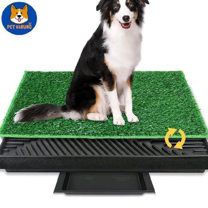Pet Potty Tray Alas Pipis Anjing - Dog Toilet with Grass Large