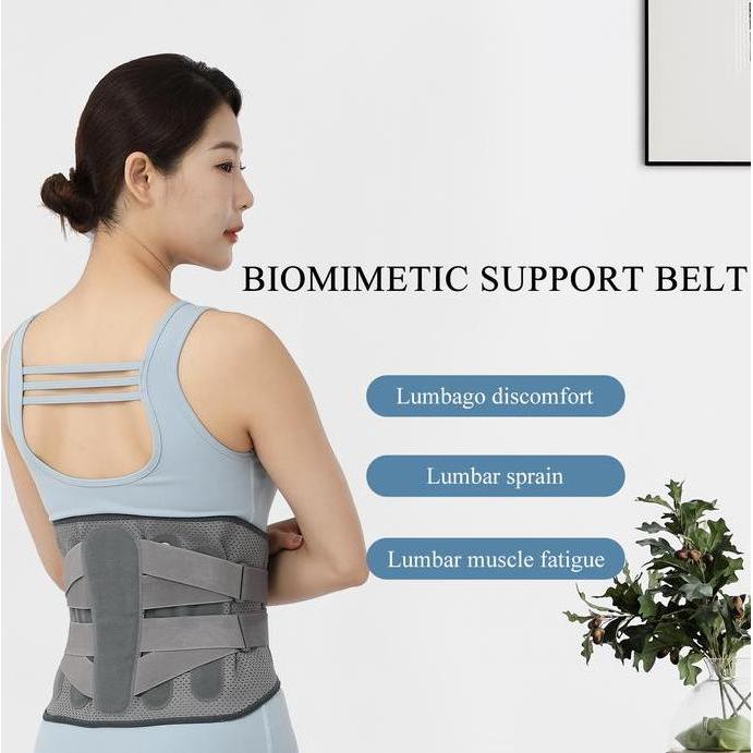 Korset tulang belakang Korset Lumbal Wanita Pria Belt Back Lumbar Waist Support Korset HNP LBP Penga