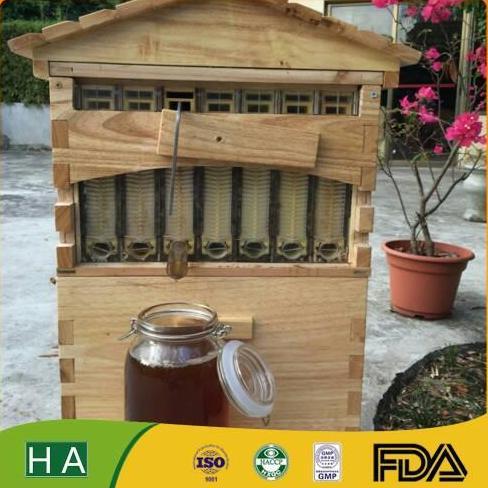 Paket Flow honey bee hive promo