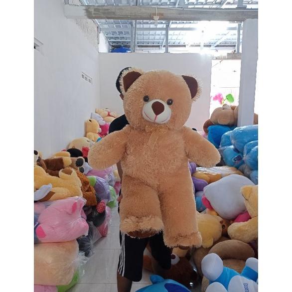 Boneka Beruang Teddy Bear XL 70cm Lembut Jumbo Diskon