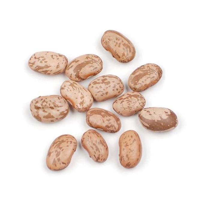 Pinto Bean 250 gram / Kacang Pinto