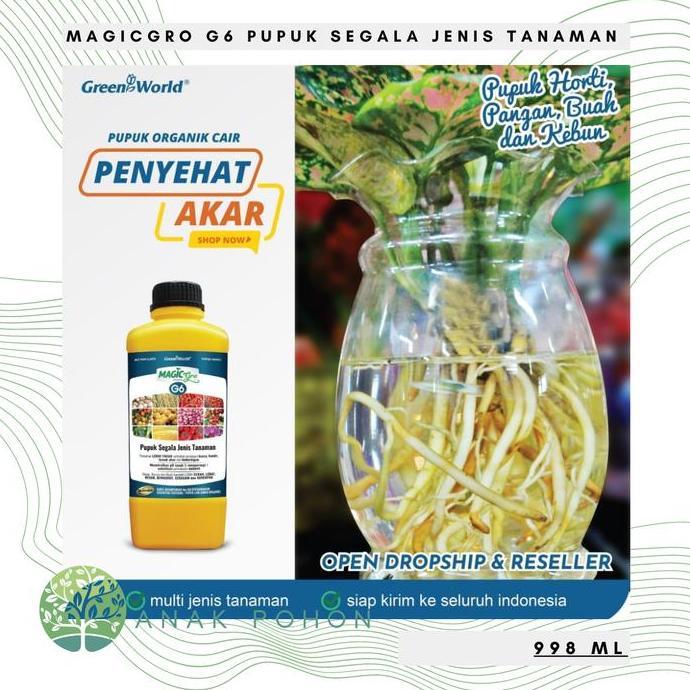 Pupuk Organik MAGICgro G6 - PUPUK PENYEHAT AKAR TANAMAN - 1 LITER