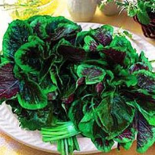 Benih / Bibit / Biji - Bayam Belang (Tiger Spinach) - IMPORT