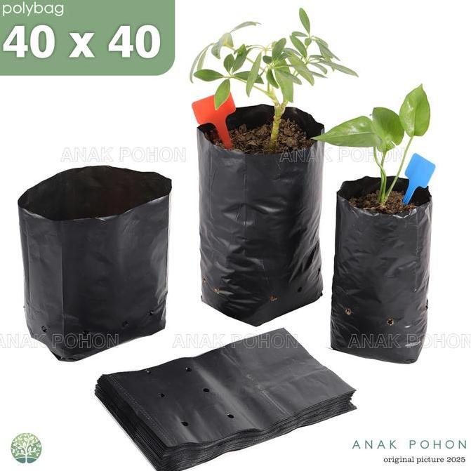 Polybag Polibag Plastik Ukuran 40 x 40 cm - Kualitas Premium Tebal