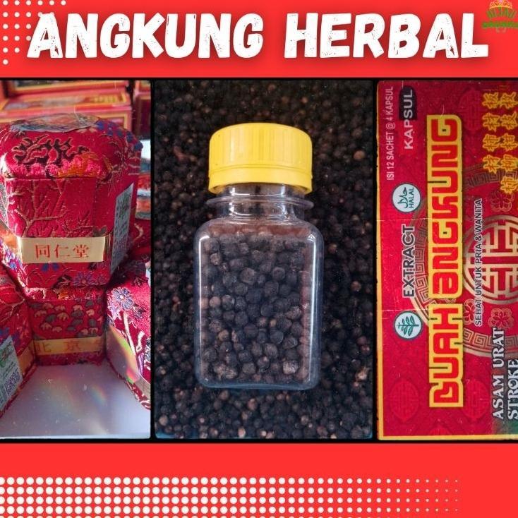 Buah Biji Angkung Herbal Alami Obat Stroke & Syaraf Angong Cina Dan Kapsul