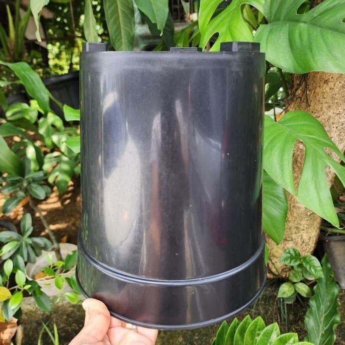(6pc) POT UJB 25 (22CM) : pot bunga tabung tinggi polos murah bagus (ENAM)