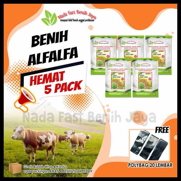 Promo / 5 Pack Benih Alfalfa - Benih Pakan Ternak Benih Tanaman Alfalfa