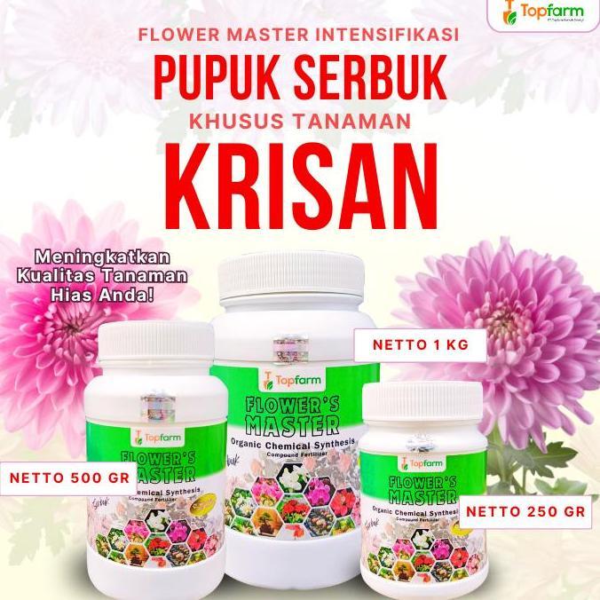 Pupuk Bunga Krisan Serbuk / Pupuk Bunga Krisan Terbaik / Booster Bunga Krisan / Pupuk Tanaman Hias /