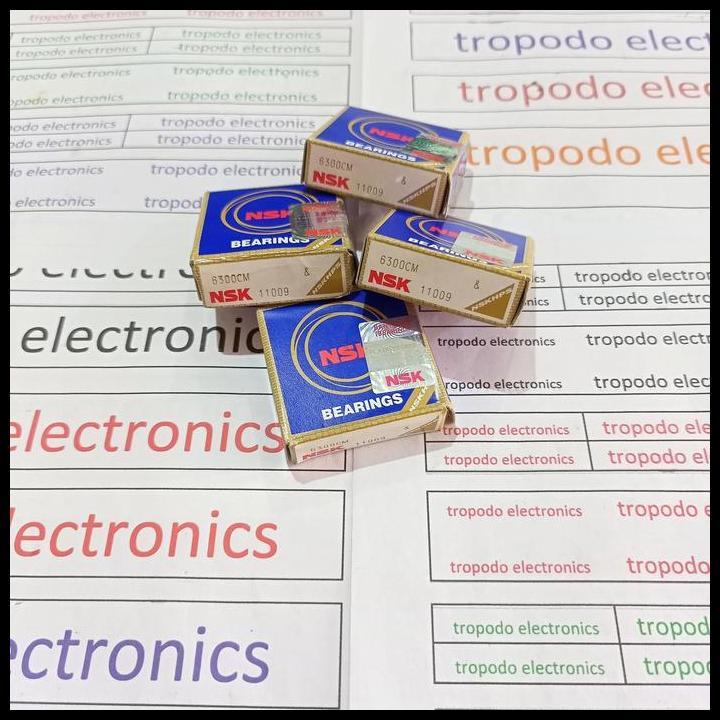 TERLARIS BALL BEARING 6300 MERK NSK JAPAN 