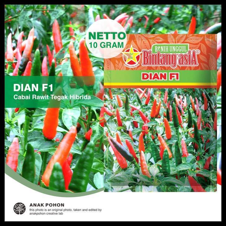 Promo / (1 Pack) Benih Cabai Rawit Dian F1 Cabe Tipe Tegak Lebat Genjah Hibrida Seeds - Bintang Asia