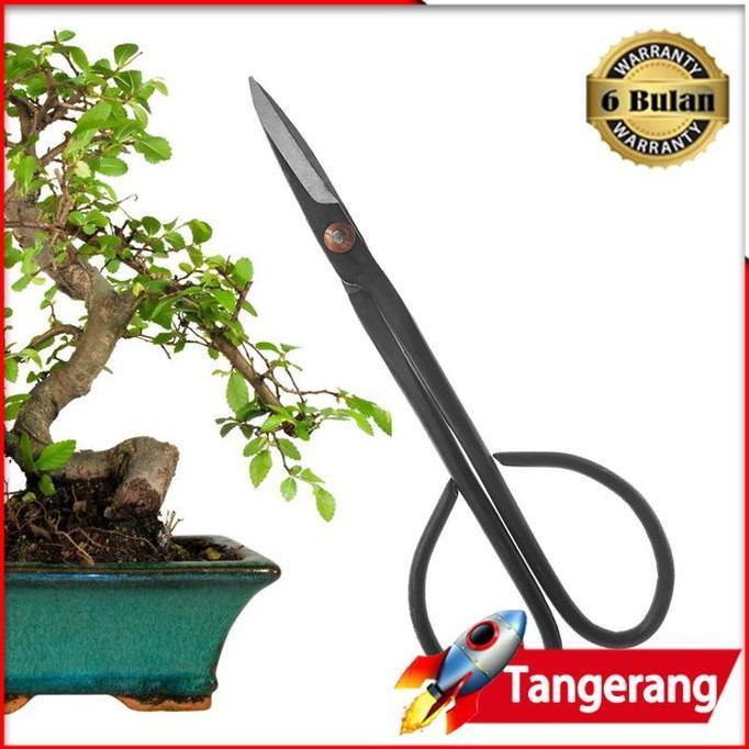 AMERZANA Gunting Pemangkas Tanaman Bonsai Bunga / Gunting Bonsai Prunning