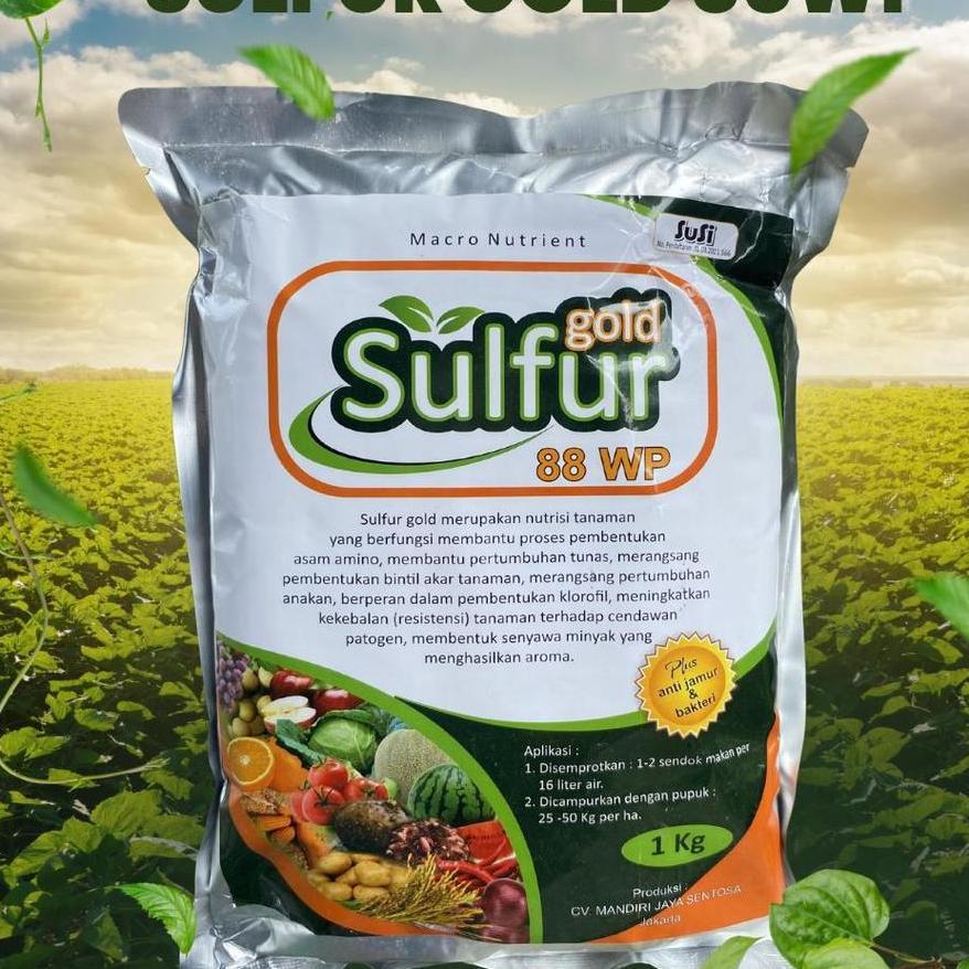 ( Btn ) Sulfur Gold 88Wp 1Kg Fungisida Bahan Aktif Belerang Sulfur Pertanian
