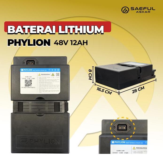 Phylion Baterai Lithium Sepeda Listrik 48V 12Ah Motor Listrik 48V 20Ah lithium Pabrikan Garansi 2 Ta