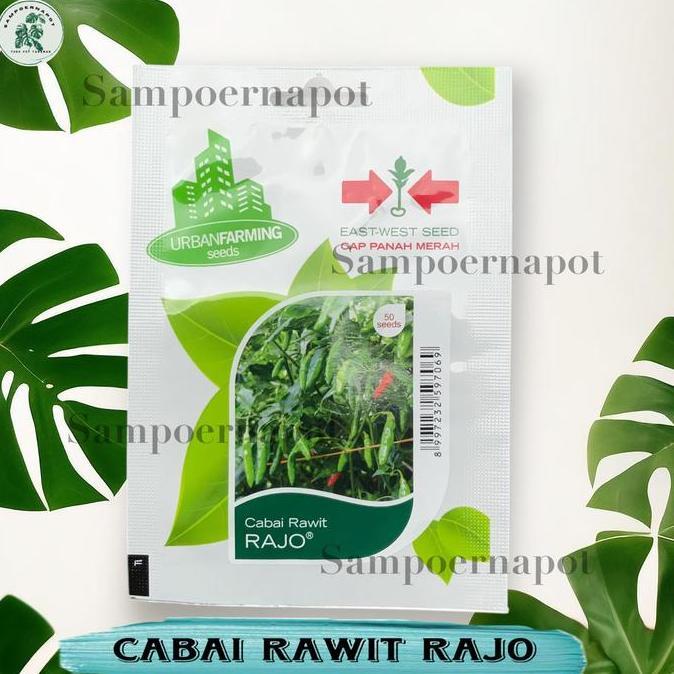 Benih Bibit Cabe Rawit Rajo Cap Panah Merah - CABAI RAWIT RAJO EAST WEST SEED