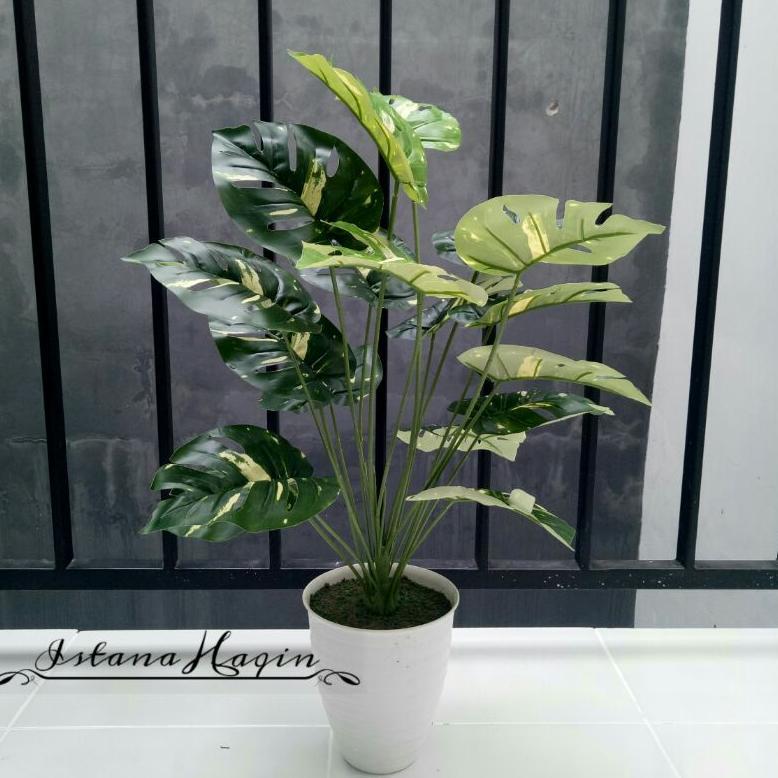 Monstera Artificial Monstera Hijau Monstera Varigata Plus Pot