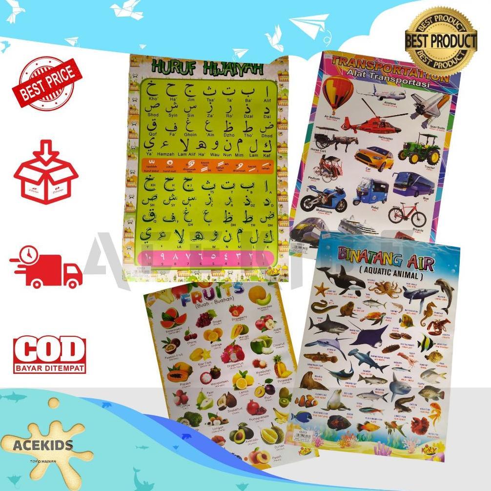 Poster Edukasi Anak Mengenal Huruf Dan Hewan Poster Kertas Dinding Anak Edukasi Poster Dinding Anak