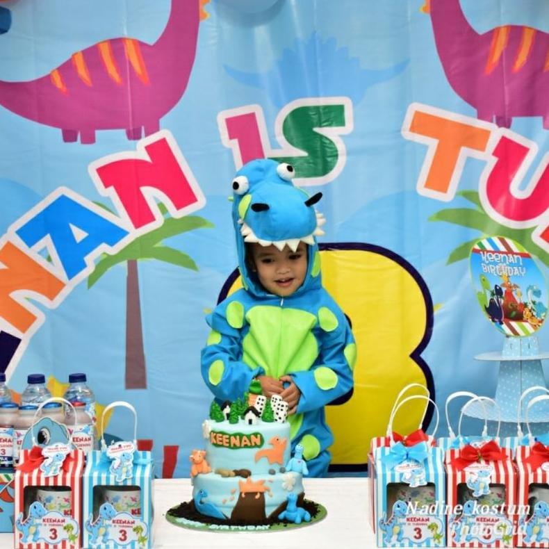 Best Seller Kostum Dino/Kostum Dinosaurus/Kostum Binatang/Kostum Binatang Anak/Kostum Karakter/Nadin