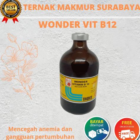 Ready Stock Vitamin B 12 Wonder 100ml