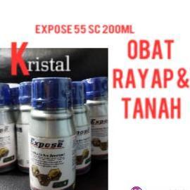EXPOSE obat rayap kayu dan tanah