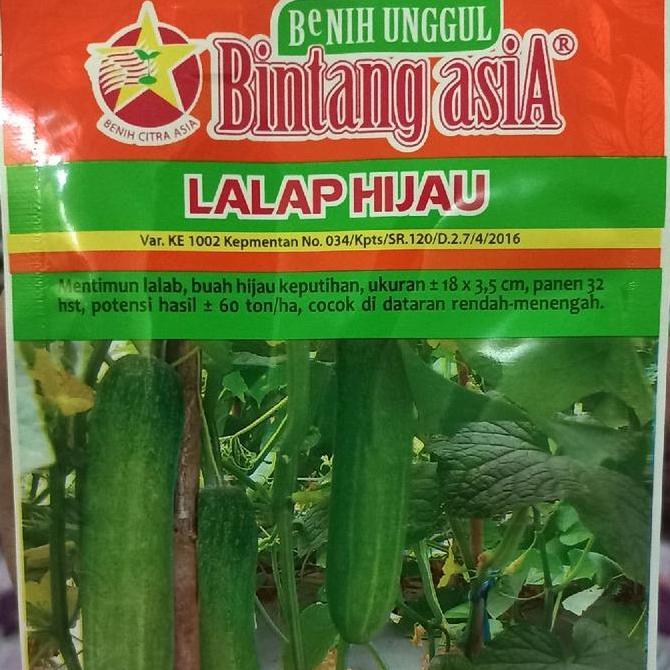 Benih Timun LALAP HIJAU 20 Gram Bintang Asia