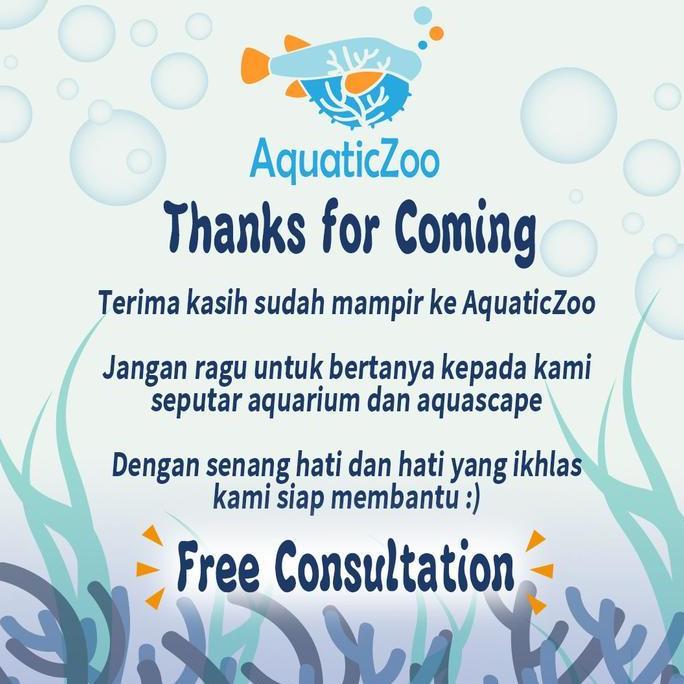 Hobiikan- Kandila Surface Skimmer Kd-350Z Kd350Z Kd 350 Z Aquascape Filter