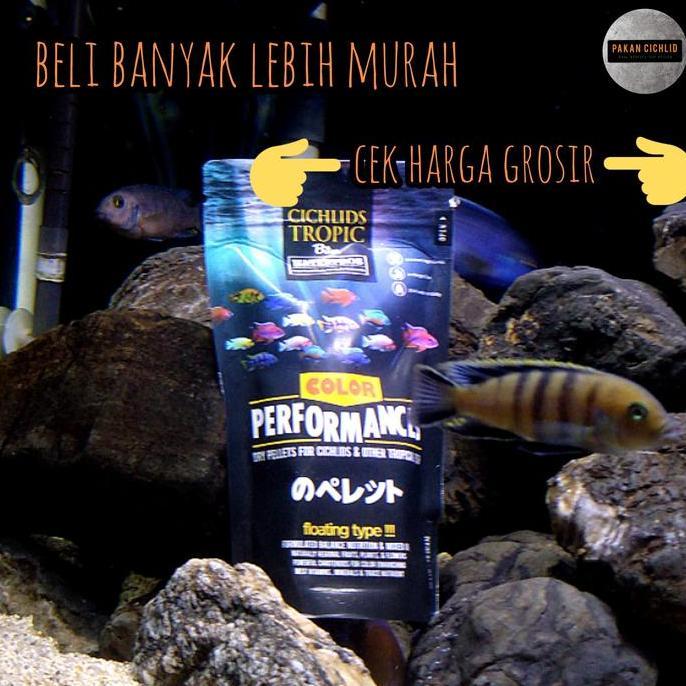Duniaikanqita- [Pakan Cichlid] Pelet Ikan Terpros Pump Performance 1 Gram