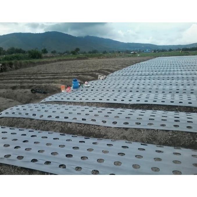 Promo Cod Plastik Mulsa 160 Cm 1 Meter Plastik Mulsa Hitam Perak ><