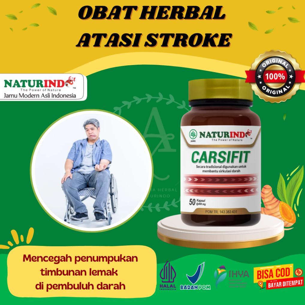 Obat Stroke Obat Struk Stroke Herbal Alami Obat Struk Lumpuh Menahun Dan Ringan Carsifit Naturindo