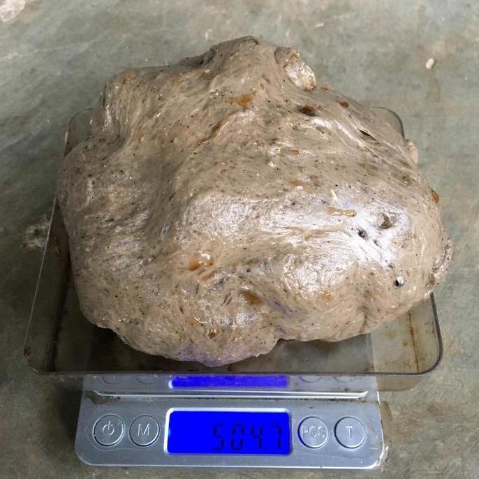 Clenesc- Lem Pulut Burung Super Lengket 500Gram/ Setengah Kilo Anti Zonk, Pulut Dl