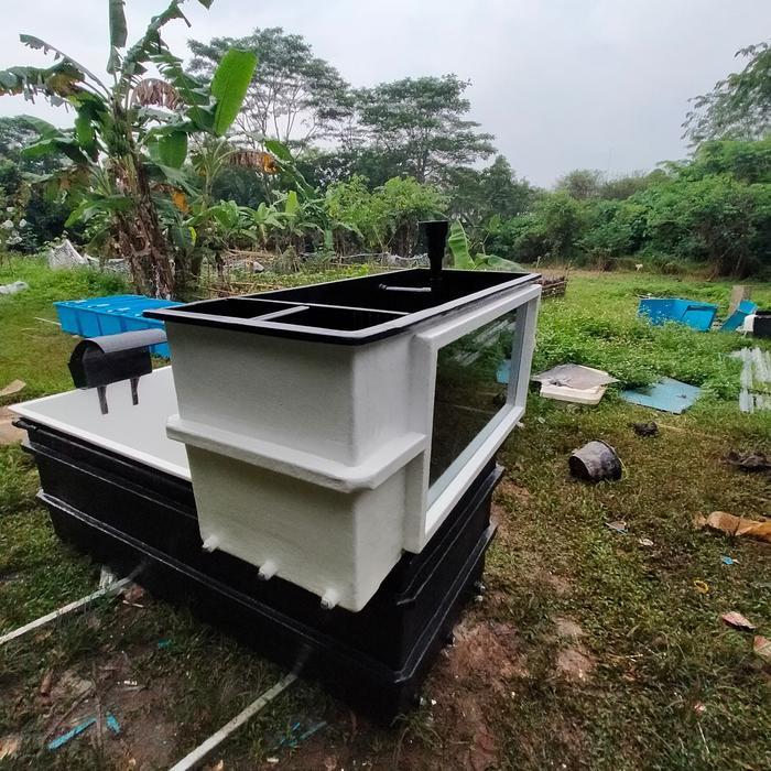 kolam ikan kaca fiber gelass