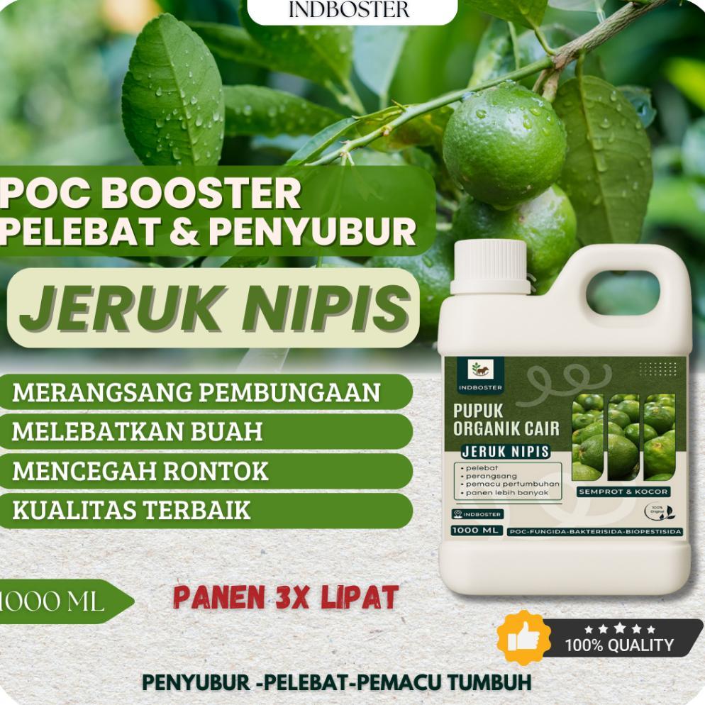 Promo Cod Pupuk Jeruk Nipis / Pupuk Buah Jeruk Nipis / Pupuk Cair Buah Pelebat Tanaman Buah Jeruk Ni