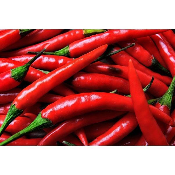 Promo Cod 25 Benih Cabe Merah Besar Landung Unggul ><