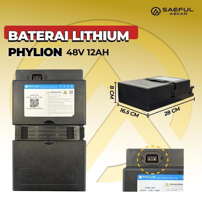 Phylion Baterai Lithium Sepeda Listrik 48V 12Ah Motor Listrik 48V 20Ah lithium Pabrikan Garansi 2 Ta