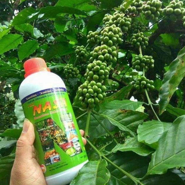 VIREXACORNER PUPUK POC NASA 1LITER , PUPUK ORGANIK CAIR, PUPUK DAUN PUPUK SEGALA JENIS TANAMAN, PUPU