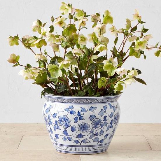 TERMURAH - pot keramik besar biru putih D 35cm