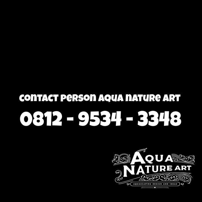 custom tank aquascape fullset 80cm