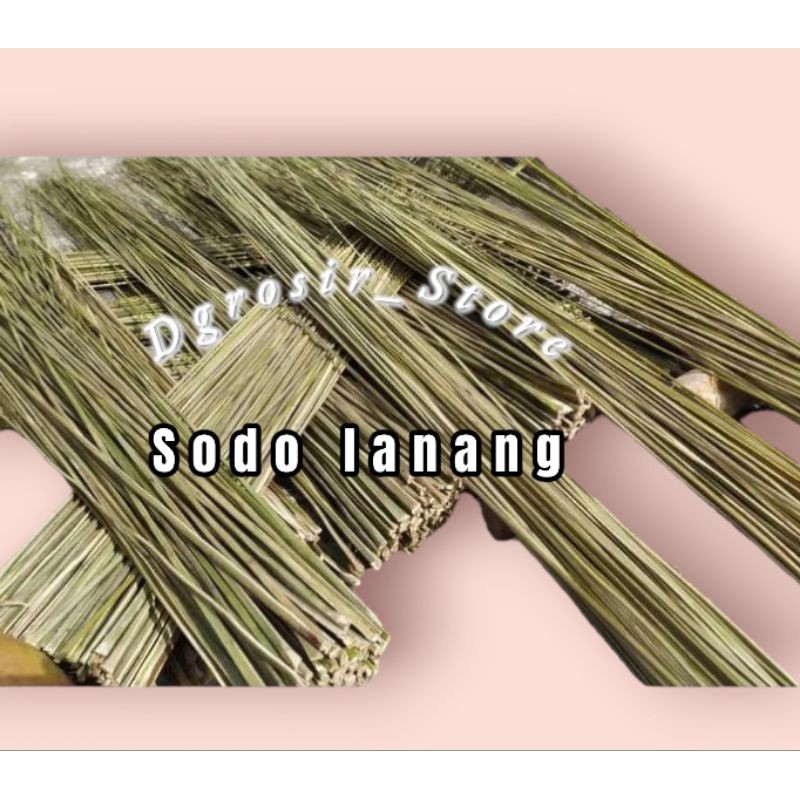 Sapu Lidi Aren/Sodo Lanang Isi 40 Pics Super Pilihan Ampuh Kuat  Penolak