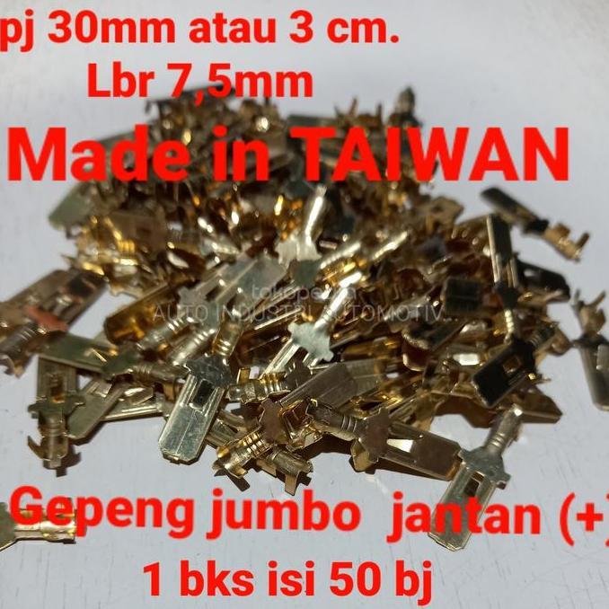 TERLARIS SKUN GEPENG JUMBO JANTAN 50 PCS