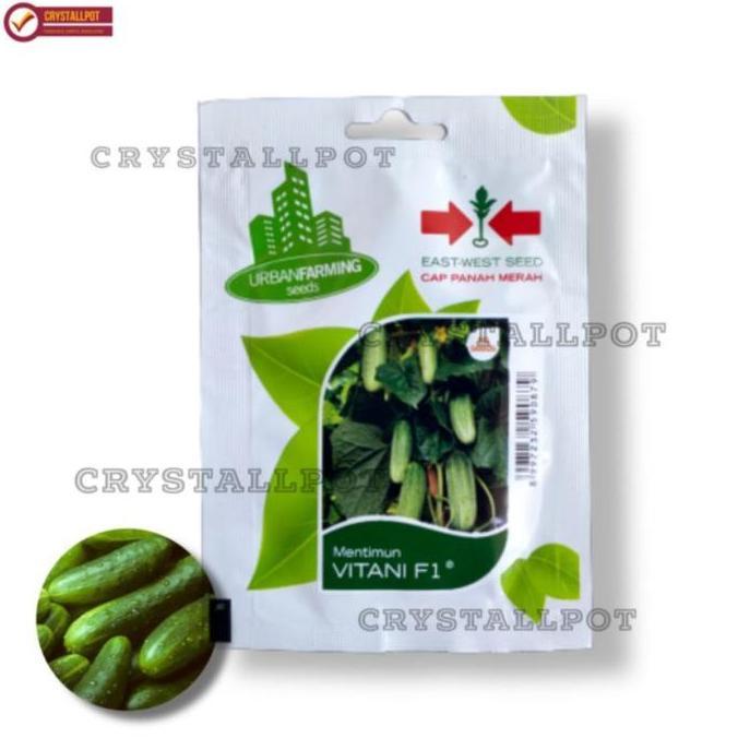 Parkz- Benih Bibit Timun Lalap Vitani F1 Cap Panah Merah - Timun Vitani F1