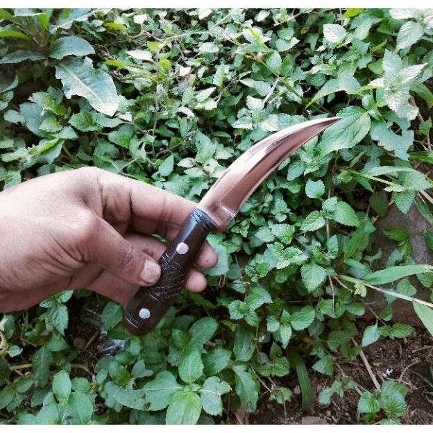 Pisau Stek Okulasi Grafting Tanaman