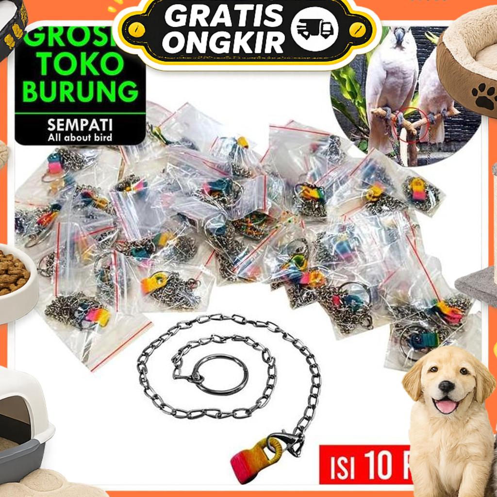 Sempati Grosir Rantai Borgol Burung Nuri Falk Parkit Parrot Hantu Isi 10 Pcs Rantai Kaki Burung Lati