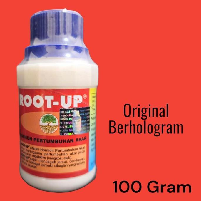 ROOT UP