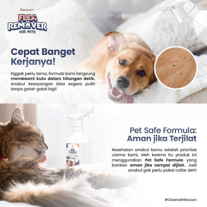Kittycute- Racoon Flea Remover Spray | Spray Obat Kutu Kucing - Anjing & Kucing Multipak Peratan Kut