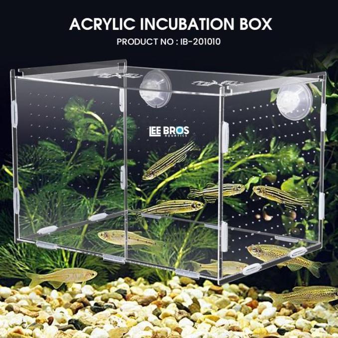 Duniaaquarium- Acrylic Incubation Box / Isolation Box / Akrilik Karantina Ikan