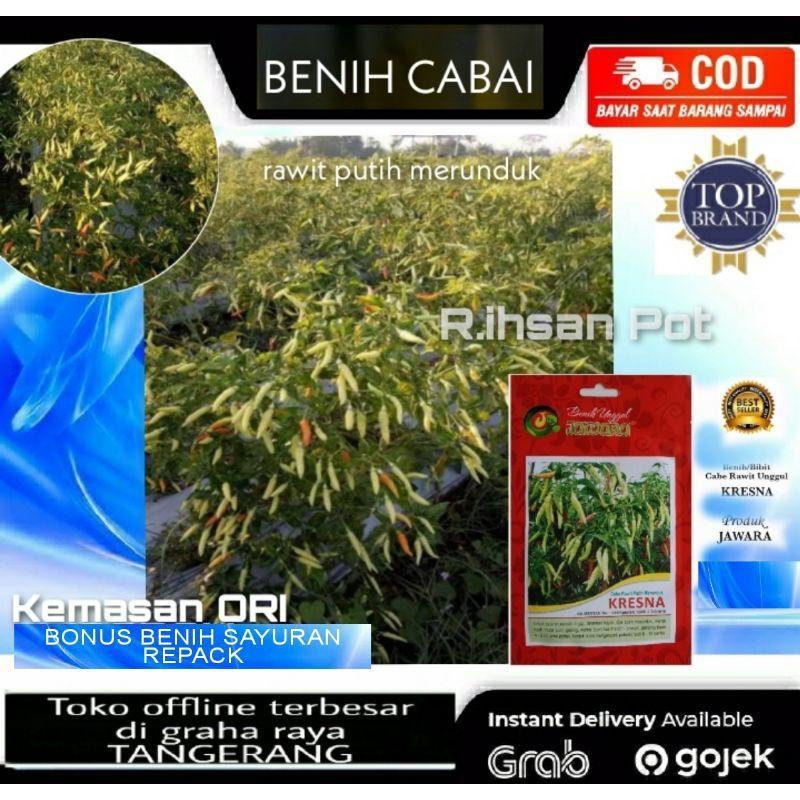 Benih Cabe Rawit Putih Jawara Ori
