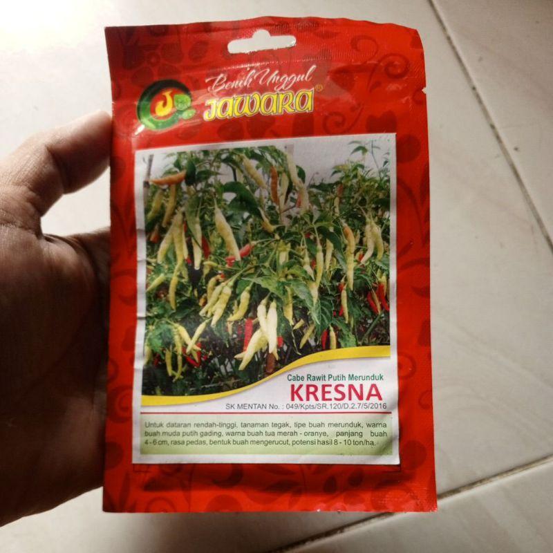 Benih Cabe Rawit Putih Jawara Ori
