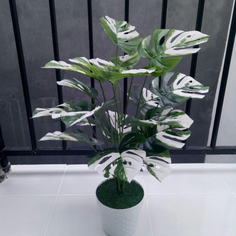 Monstera Artificial Monstera Hijau Monstera Varigata Plus Pot