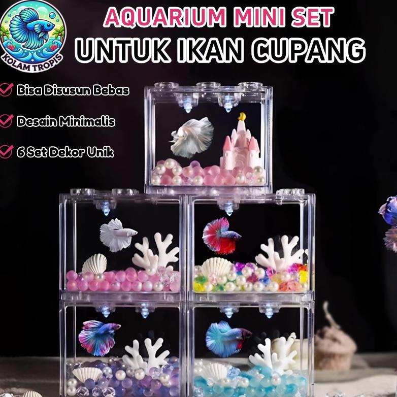 Aquarium Set Lengkap Ikan Cupang Aquarium Cupang Estetik Aquarium Akrilik Aquascape Mini Siap Pakai