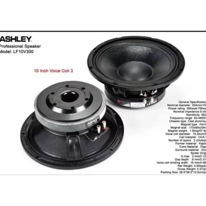 Speaker Komponen ASHLEY LF10V300 LF 10 V 300 ORIGINAL 10 INCH 10V300 LF10 V300